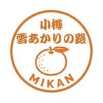 団体アバター