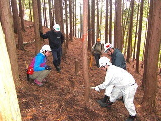 メインビジュアル背景画像