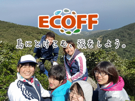 メインビジュアル背景画像