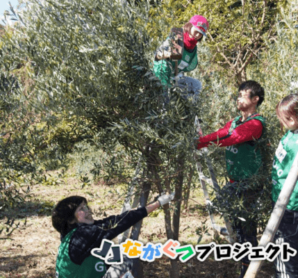 メインビジュアル背景画像