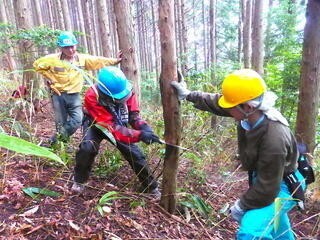 メインビジュアル背景画像