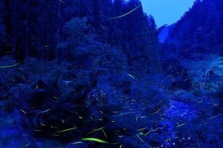 メインビジュアル背景画像