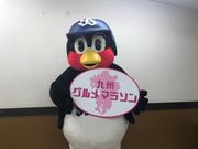33334