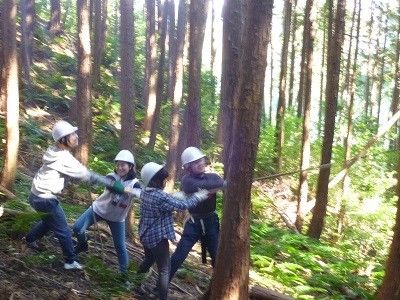 メインビジュアル背景画像