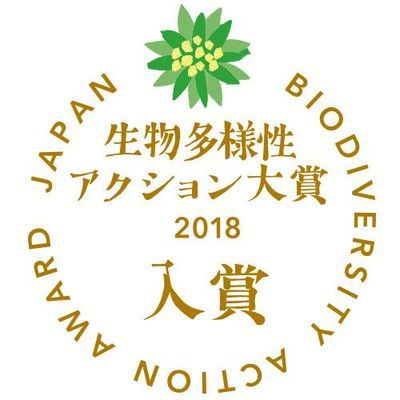 メインビジュアル背景画像