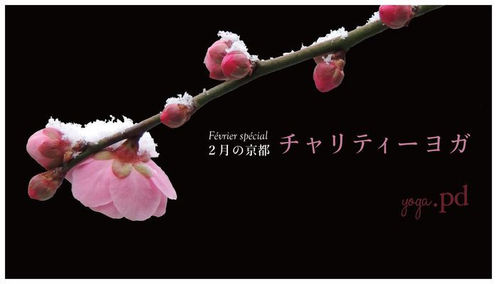 メインビジュアル背景画像