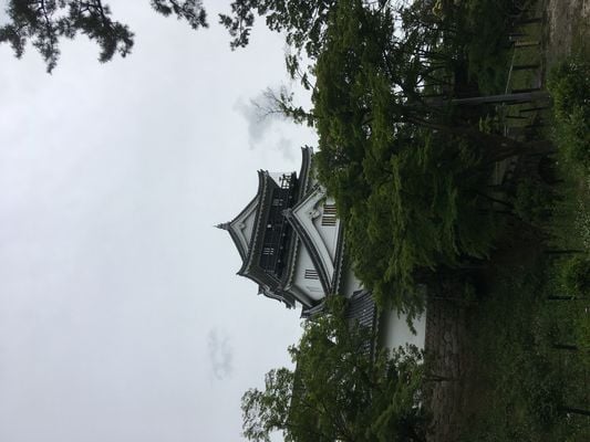 メインビジュアル背景画像