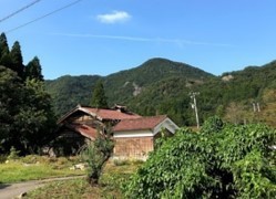 メインビジュアル背景画像