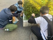 95241