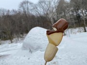 95507