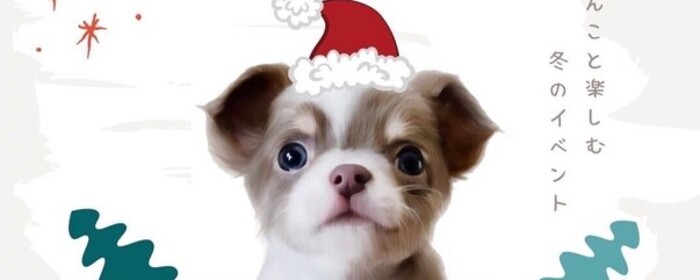 大阪での動物愛護系ボランティア募集 Activo アクティボ