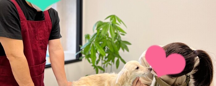 埼玉での動物愛護系ボランティア募集 Activo アクティボ