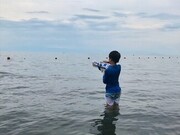 150273