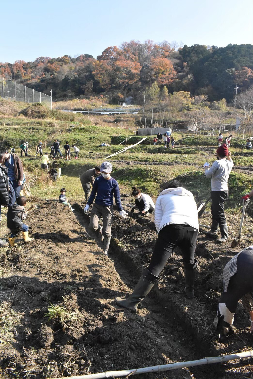 休耕地を整備・開拓して、畑に戻そう!体を動かしたいボランティアさん募集! by 休耕地から巻き起こす夢づくりプロジェクト