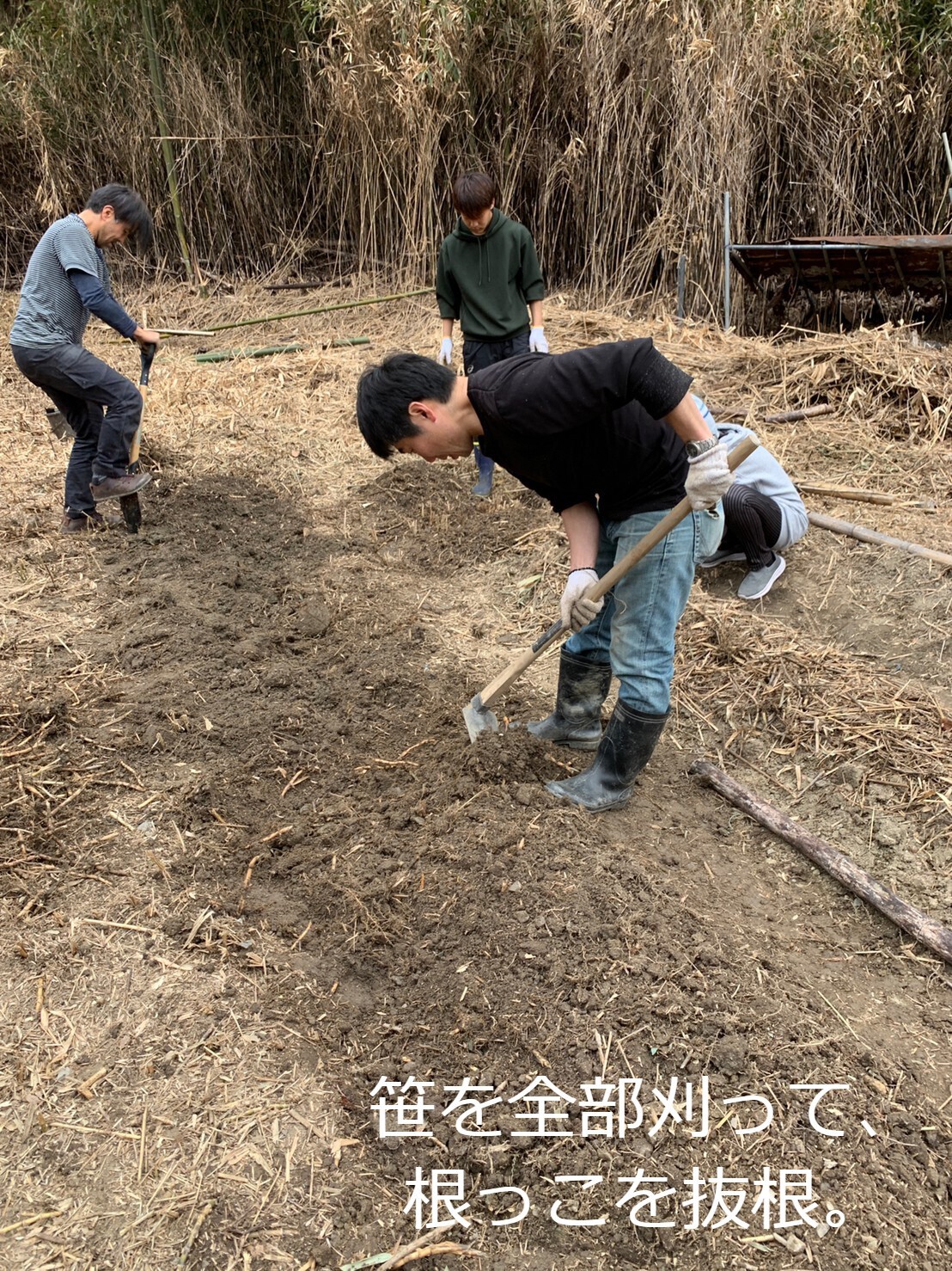 休耕地を整備 開拓して 畑に戻そう 体を動かしたいボランティアさん募集 By 休耕地から巻き起こす夢づくりプロジェクト