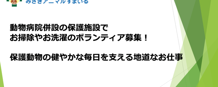 社会人も参加可能な動物愛護系ボランティア募集 Activo アクティボ