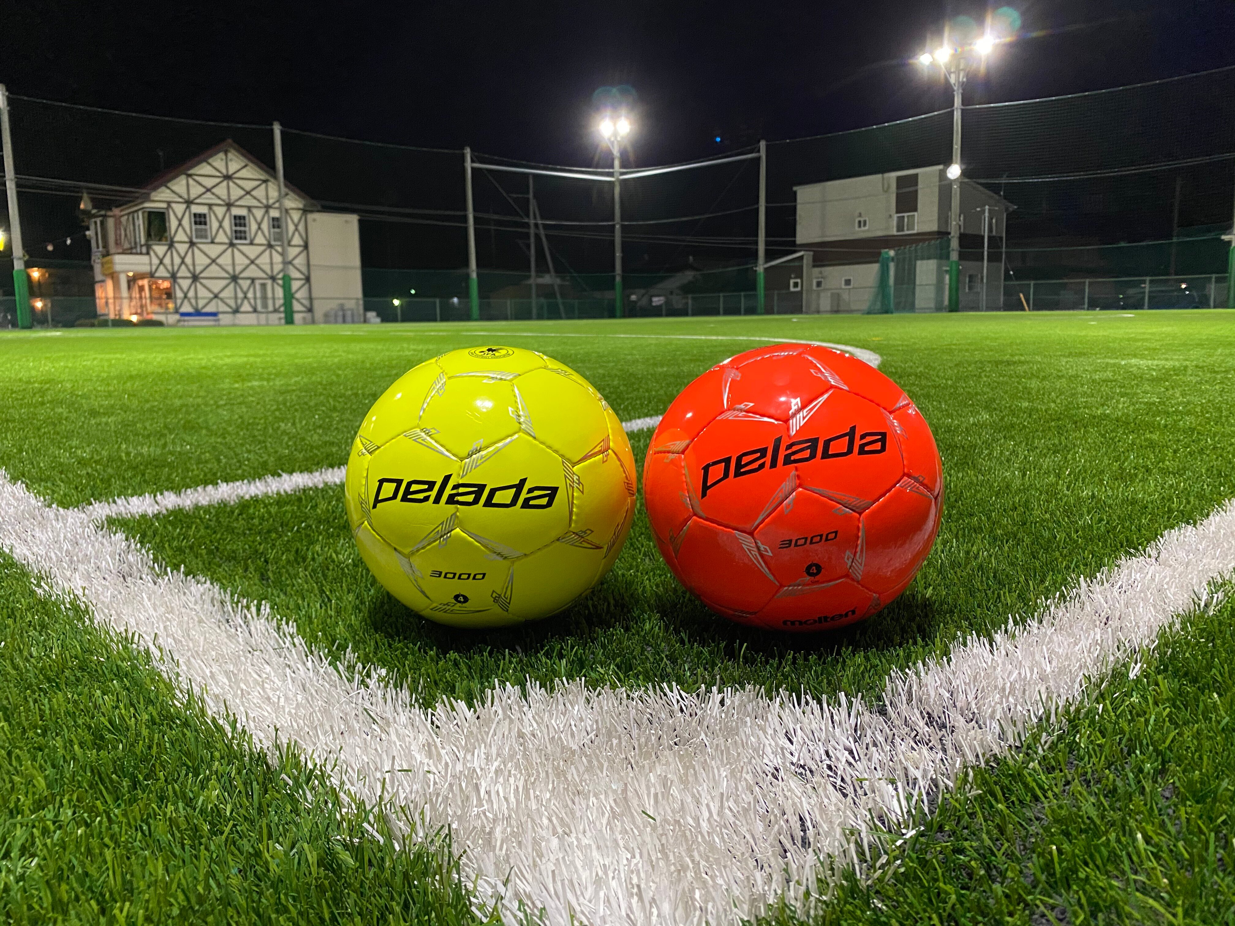 急募 サッカー フットサル好きなら施設を運営してみませんか 店長を募集します By アットホームパル