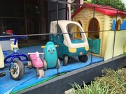 253876