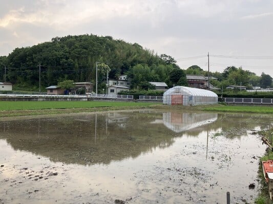 田起こし後の田んぼの様子