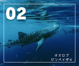 264258