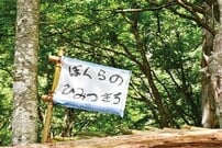 325096
