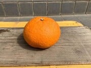 339643