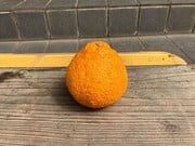 339640