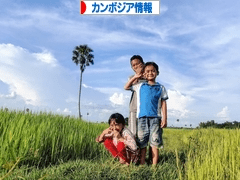 にほんブログ村 海外生活ブログ カンボジア情報へ