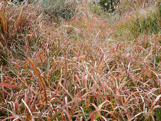 PB250398 のコピー