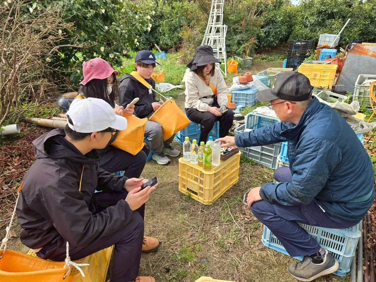 収穫作業2