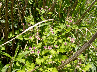 P5050600_20260505