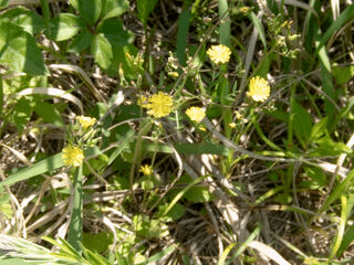 P5050597_20260505